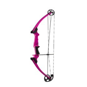 Genesis Original Righthand Bow Kit Purple