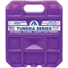 Arctic Ice 1205 Tundra Series Freezer Pack (2.5 Pounds)